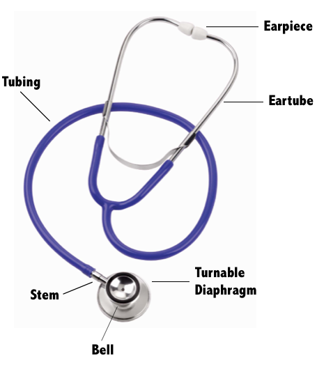 Diaphragm on sale of stethoscope